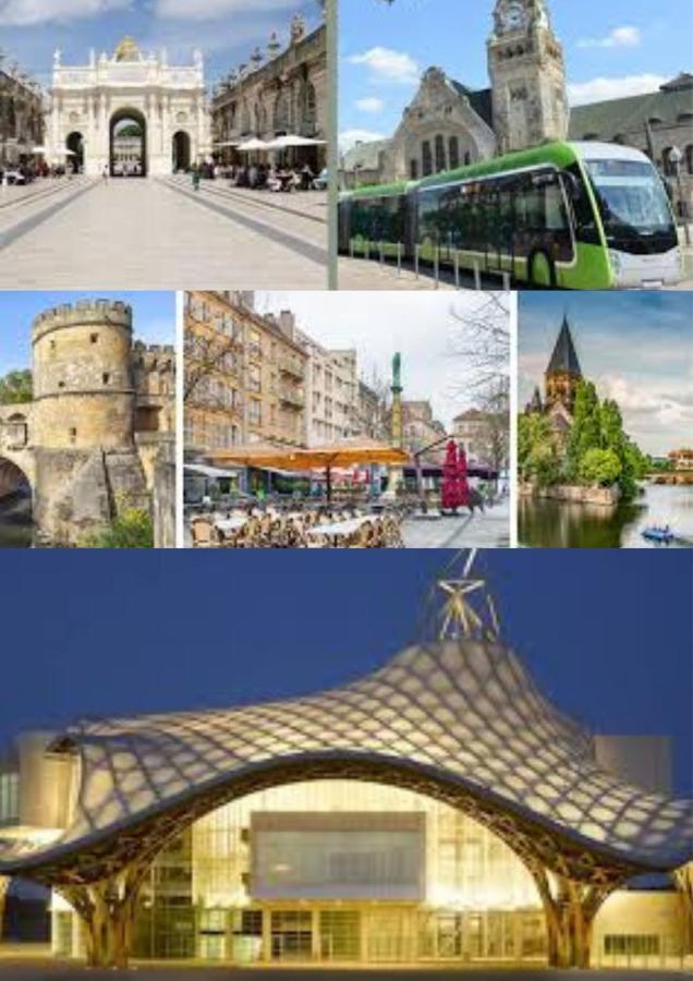 Le Muse Quartier Ville Proche Transport Parking Prive Un-Sejour-A-Part Metz Eksteriør billede