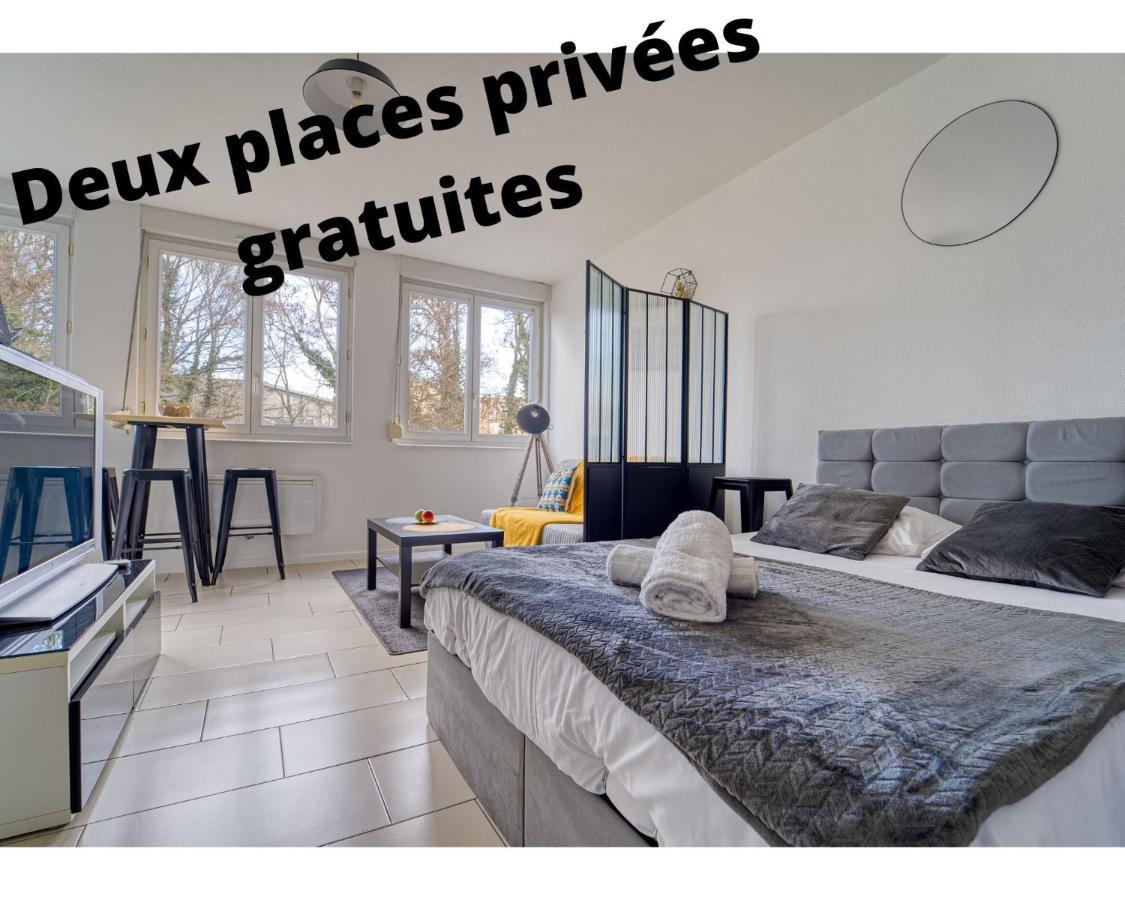 Le Muse Quartier Ville Proche Transport Parking Prive Un-Sejour-A-Part Metz Eksteriør billede